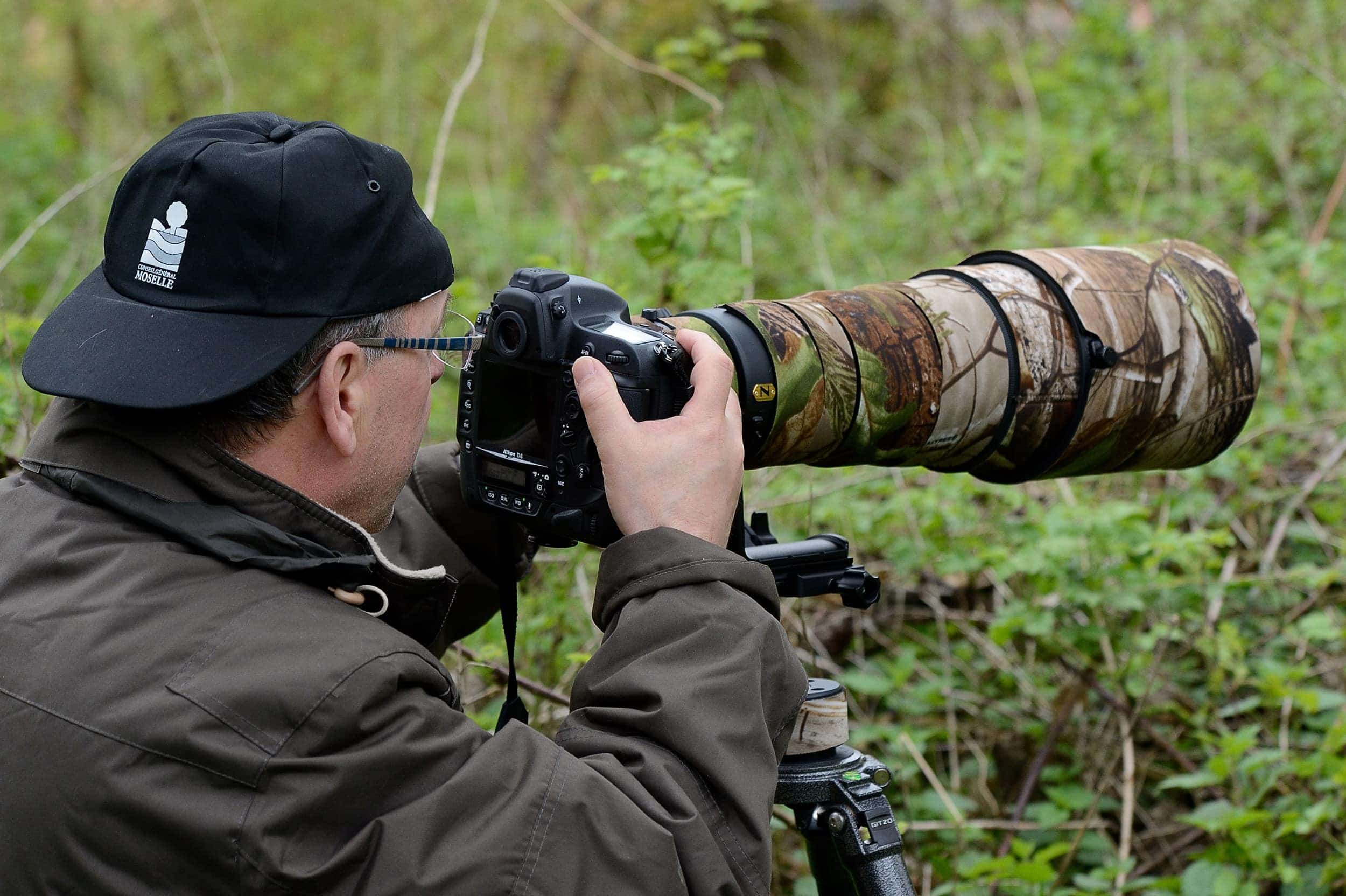 Photographe Animalier