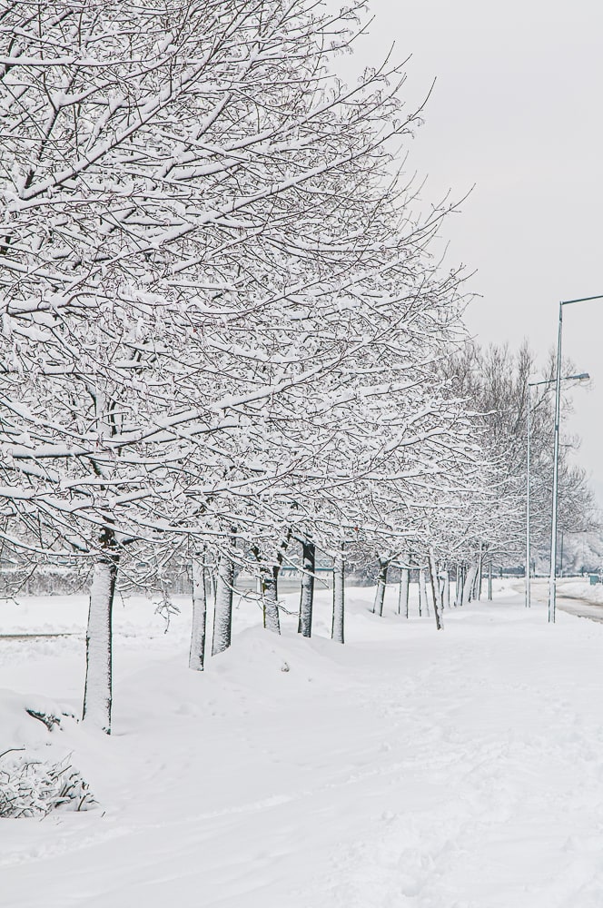 Paysage-Noir-et-blanc-Sanok - Pologne -NIKON-D300S